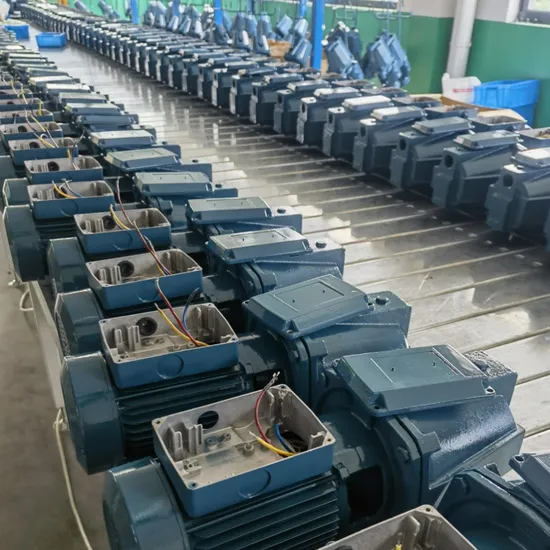 China Factory Wholesale0.75HP 1 HP Electrical Motor Jet100h Garden Booster Pump High Pressure Self-Priming Jet Pump Water Pump Copper Wire Brass Impeller Egypt